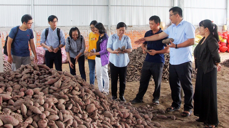 Kết nối giao thương tiêu thụ, chế biến nông sản